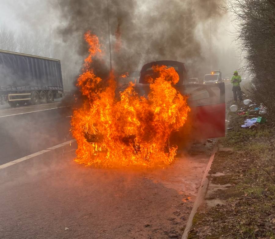 James Doyle - Local Hero